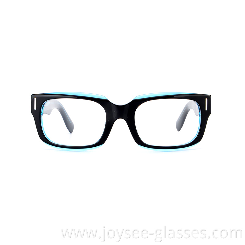 Polished Eyeglasses 7